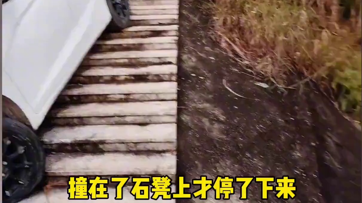 秋名山飞度惊现温州！#温州飞度 #开车 #山路