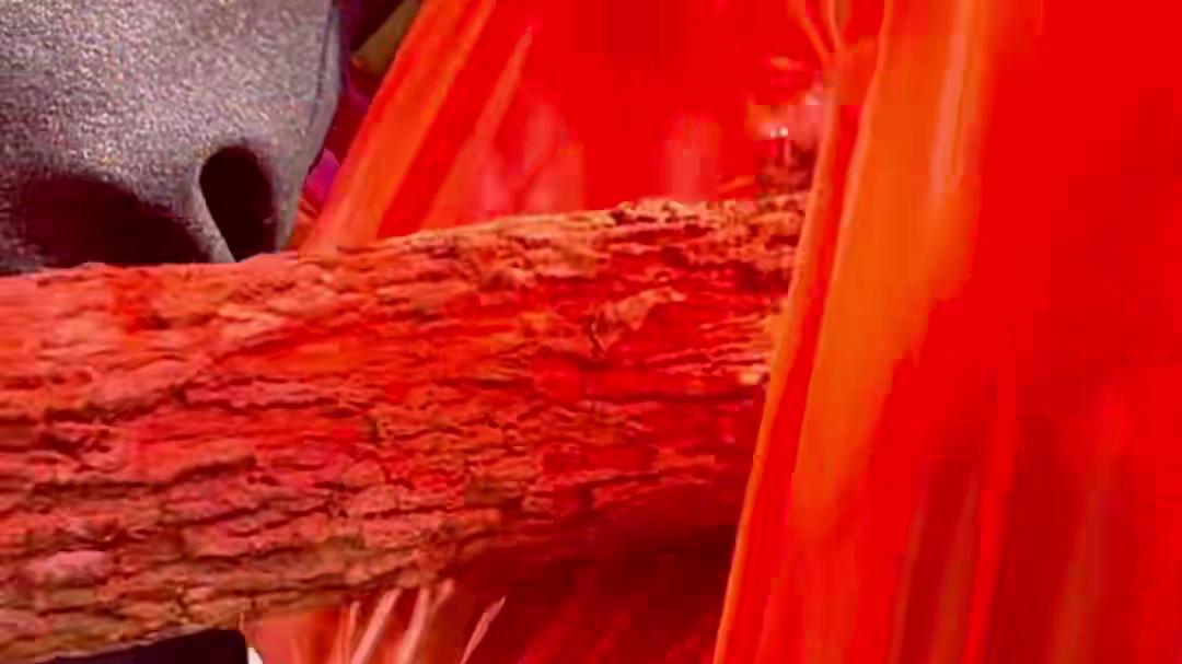 山村厨神小当家 今天大虾自由 好吃到飞起来 #我在乡村做美食#农村美食#爱生活爱美食#我的乡村美食记