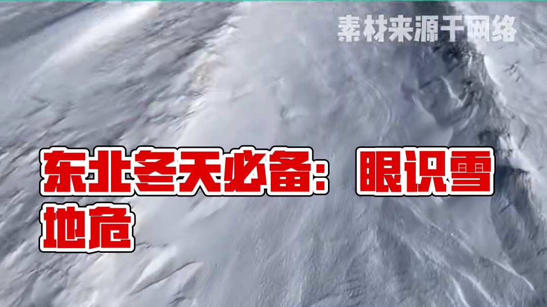 东北人必备技能:肉眼判断雪地的危险程度#东北的冬天#打出溜滑#万万没想到