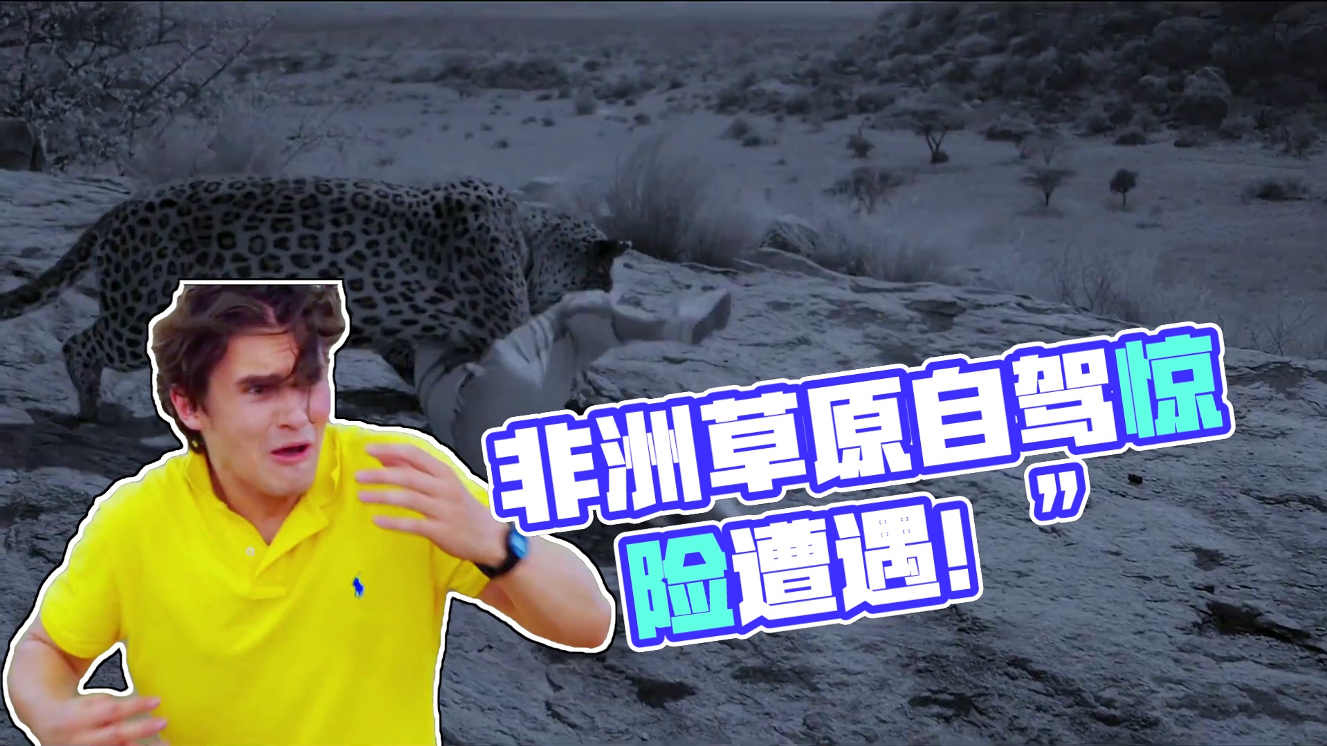 濒危物种完整版