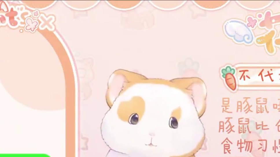 大龄剩女花铃惨遭父母相亲破防 #毗乃昆尼末法世记 #在第八日启程 #花铃 #崩坏星穹铁道 #符玄