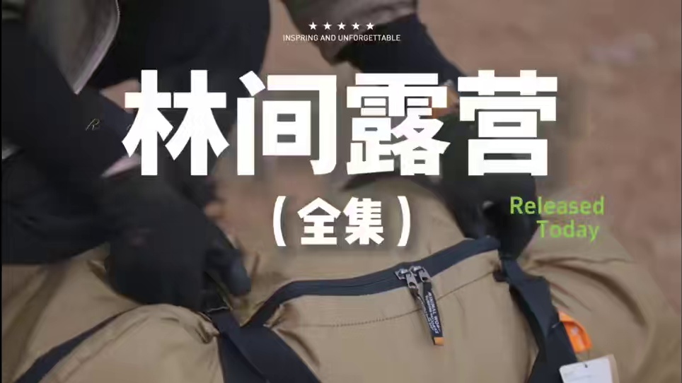 林间露营（全集）离开城市的喧嚣，独自在森林里露营、野炊，不知不觉一个周末就过去了，真想在这里长住。。