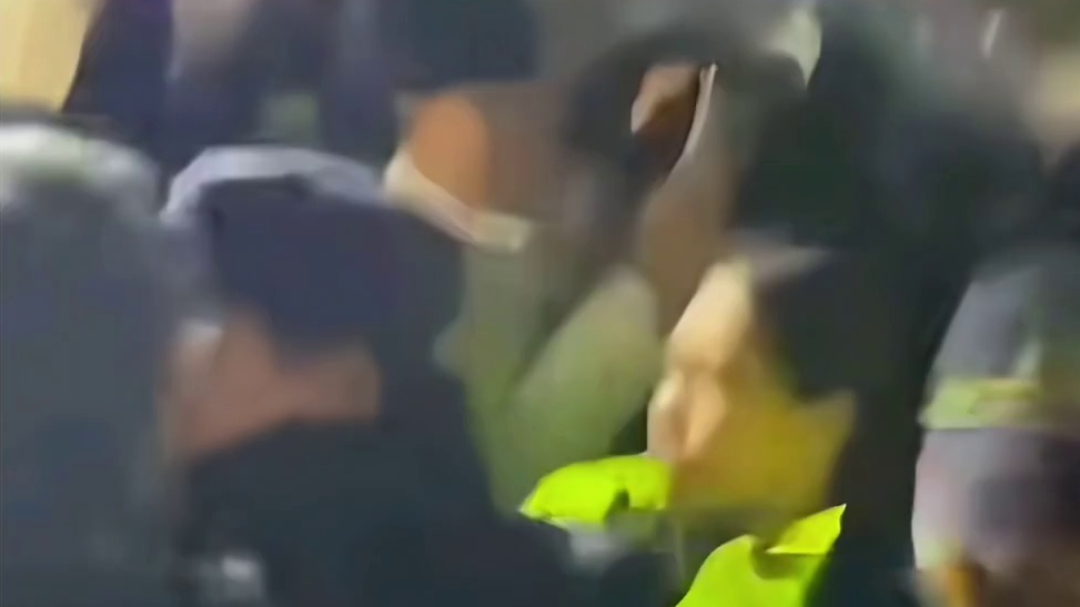 清华北大不如胆子大