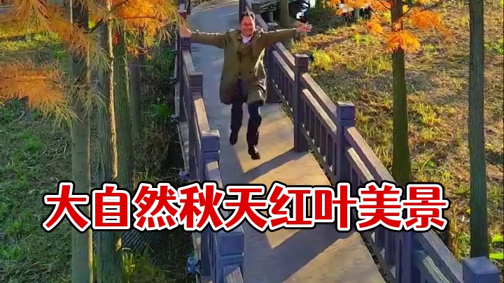 人间忽晚 山河已秋#秋天落叶 #红叶 #大自然的美丽风景 #一起来拍秋天 #枫叶