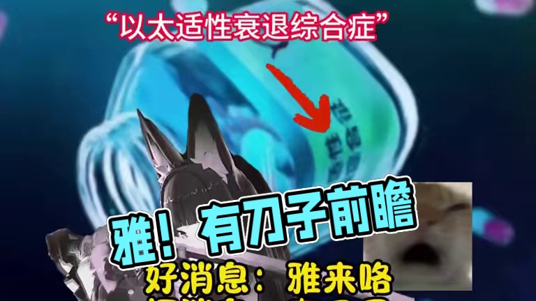 好消息：有雅！坏消息：有刀子⊙﹏⊙#绝区零 #绝区零新版本 #绝区零创作激励计划 #绝区零星见雅 #