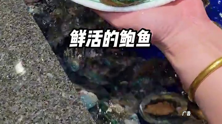 还得是亚马逊海鲜自助 红谷滩万达店全新重装升级 人均100多上百种菜品张口就回本#亚马逊万达店全新升