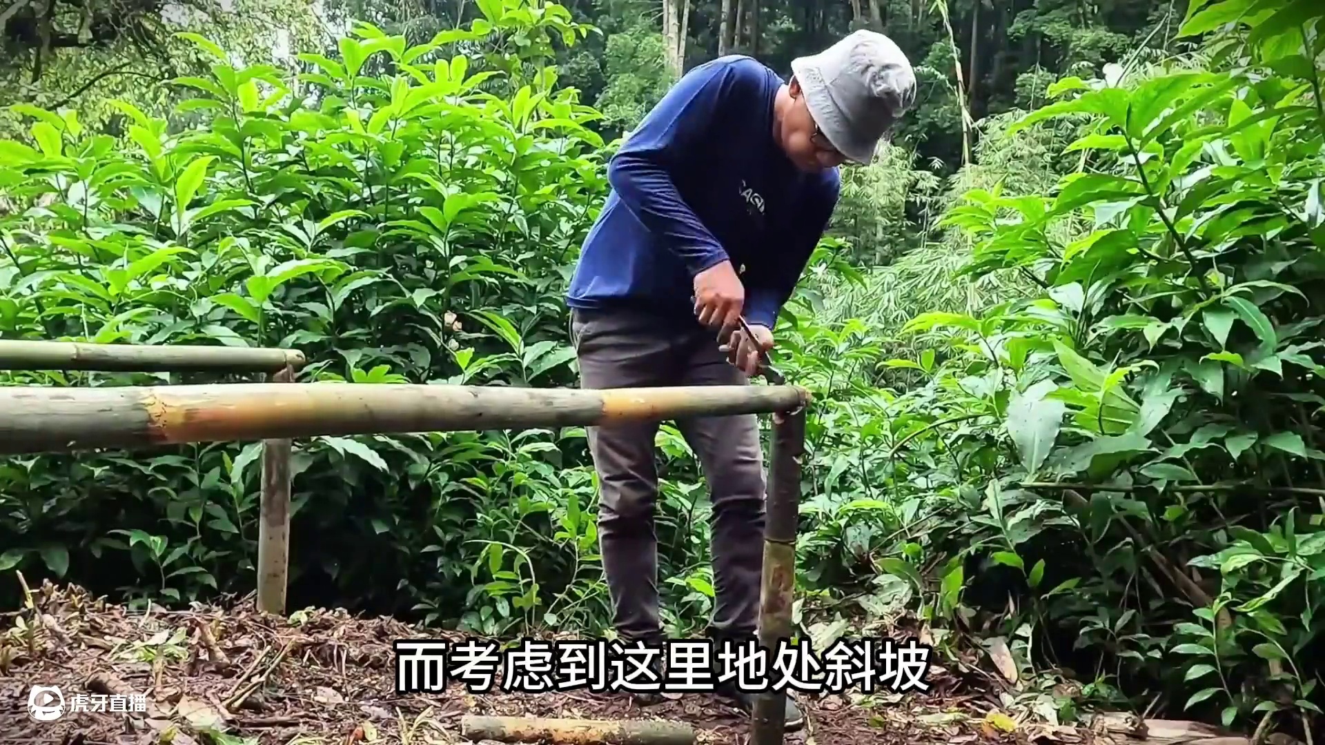 在暴雨中搭建一间过夜的庇护所 #庇护所建造 #雨中露营 #荒野建造 #解压 #户外生活
