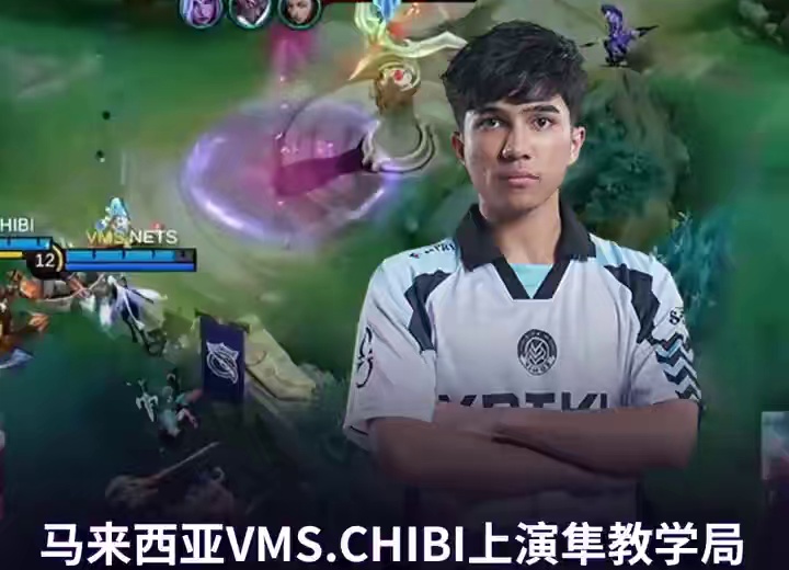 马来西亚VMS.CHIBI上演野王教学局，一手隼万军丛中直取敌将首级。#决胜巅峰世界总决赛 #决胜巅