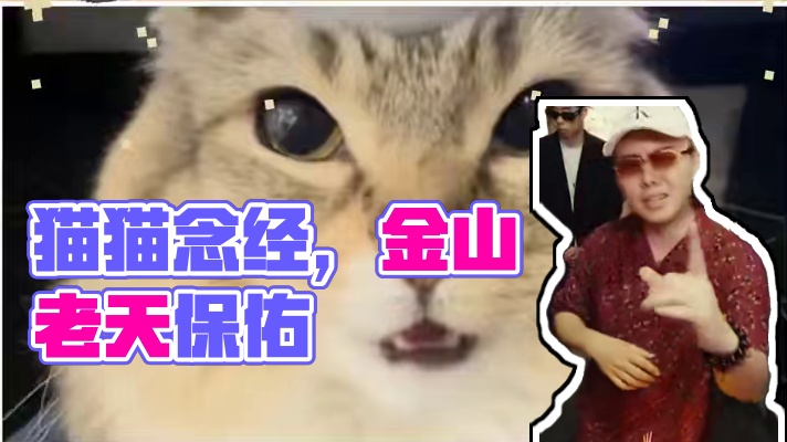 猫猫念经，不听不听！！ #猫猫 #猫meme #揽佬