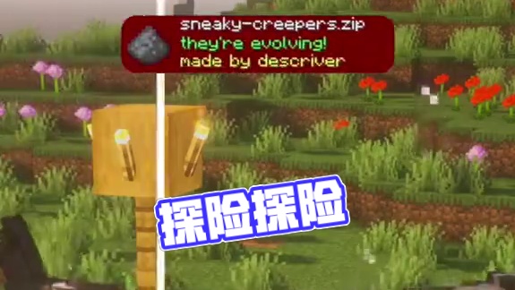 #我的世界 #Minecraft