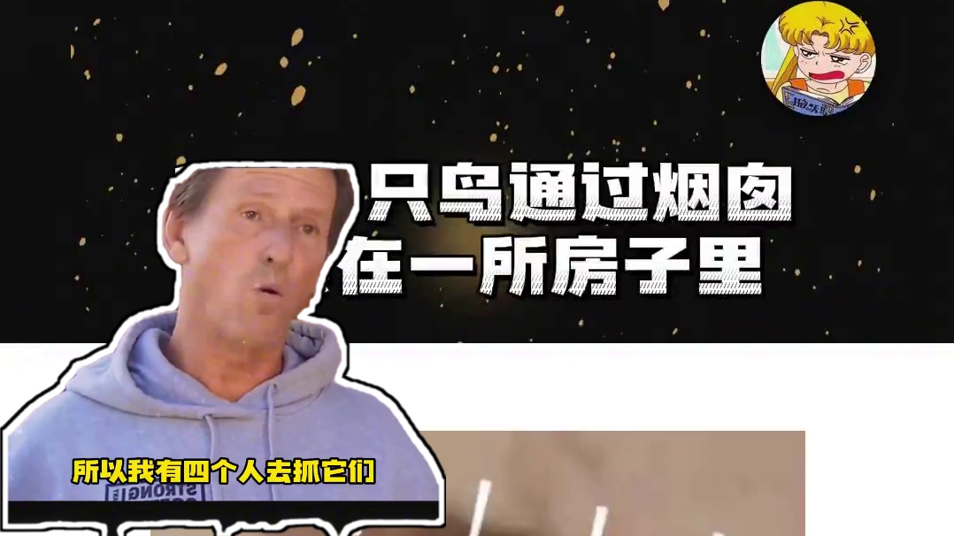 不是，到底有啥吸引了它们啊！？ #万万没想到 #震惊 #鸟