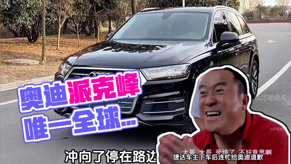 捷达撞上奥迪，结果却吓晕了#内容启发搜索 #奥迪派克峰 #捷达