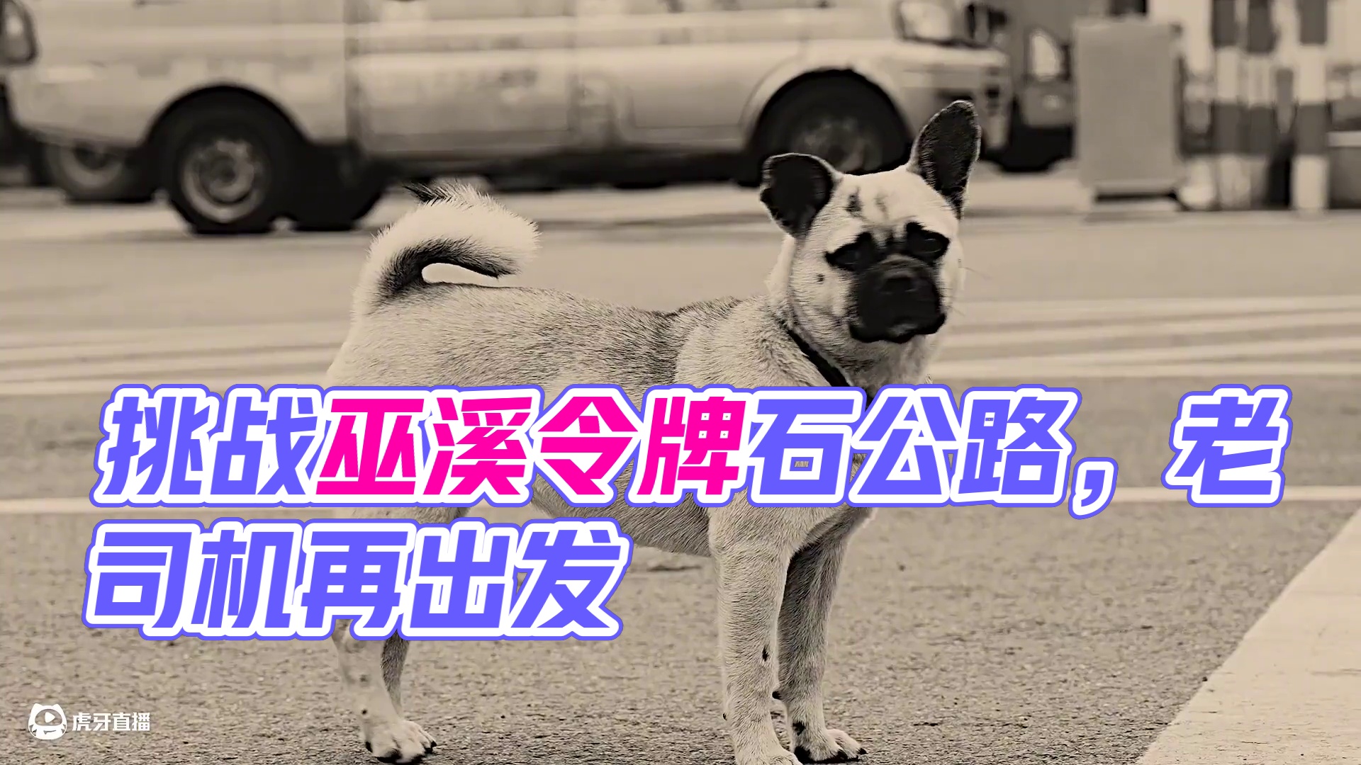 又有不信邪的老司机跑去挑战巫溪令牌石公路了。 #特斯拉 #智界R7