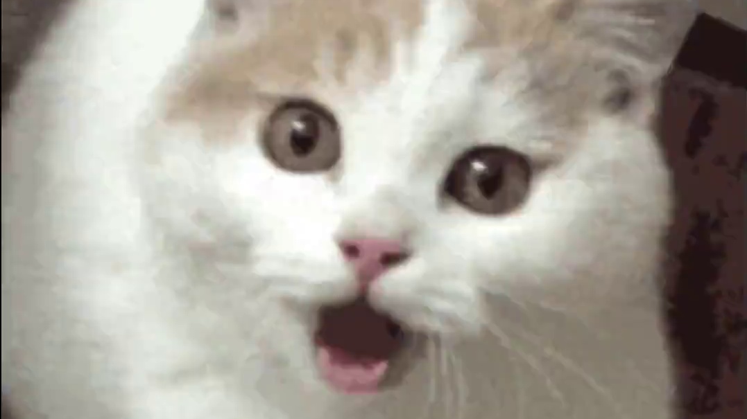 冰面上只有10%，海底还有90%没露出来呢！ #娱乐评论大赏 #冰山