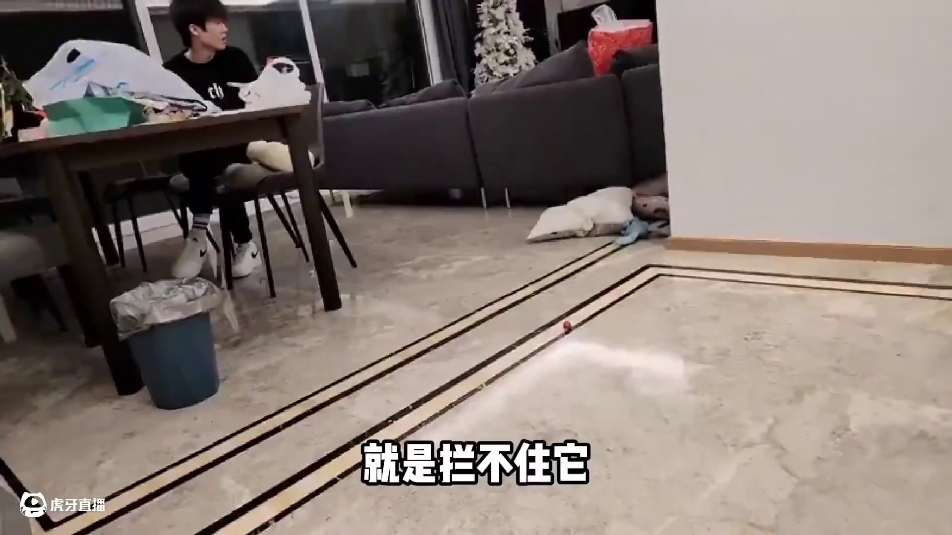 蔡哥公式人养出来的公式狗！ 