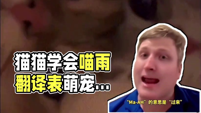 第一个研究出猫猫语言的人简直是个天才#猫咪 #萌宠 #动物语言 #疑似学会了猫猫语 #娱乐超有料