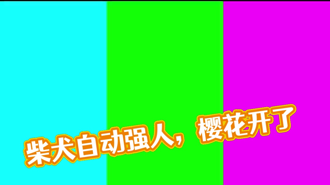 这血统不正宗啊！ #我浮夸真的要强 #柴犬 #直播录像