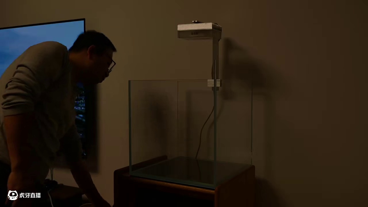 是不是男人到了年纪就会觉醒一些爱好？记录40草缸开缸一个月#草缸 #40方缸 #养鱼 #养鱼日记 #