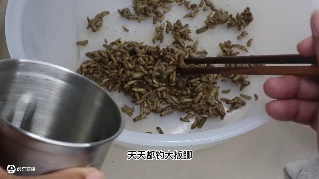 工艺独特的打窝酒米，如此豪横谁与争锋，鱼饵届的天花板 #鱼饵制作 #酒米窝料制作 #酒米窝料 #酒米