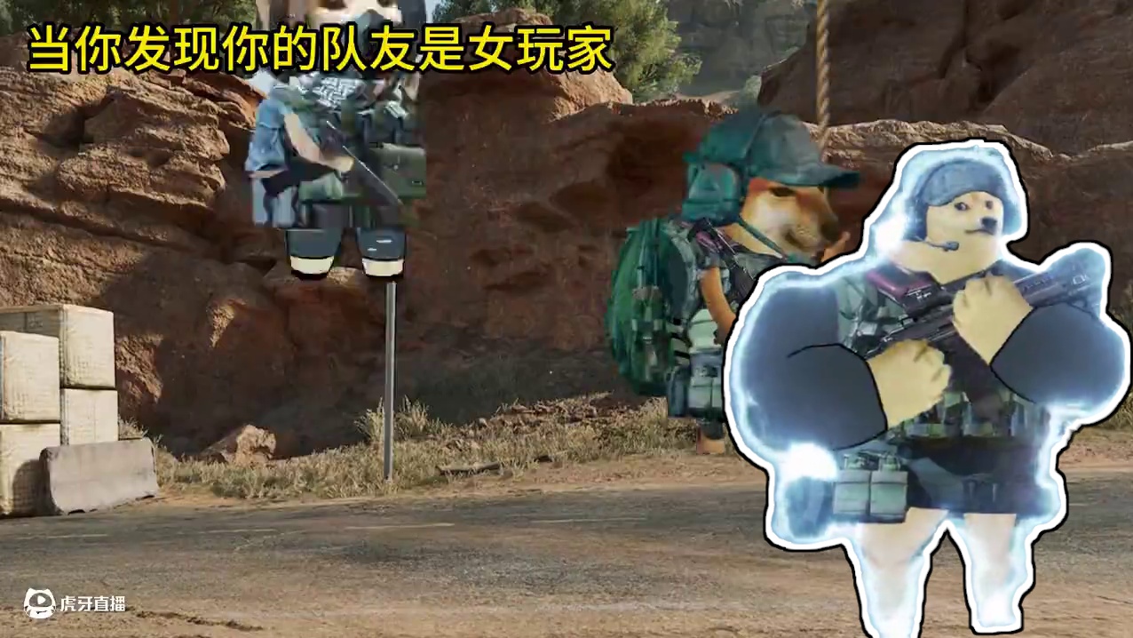 当你发现你的队友是女玩家#三角洲行动#三角洲聚变新赛季上线 #搞笑 #碎星行动