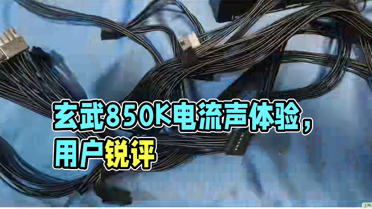 【存档】玄武用户锐评850K使用体验（电流声过大等）