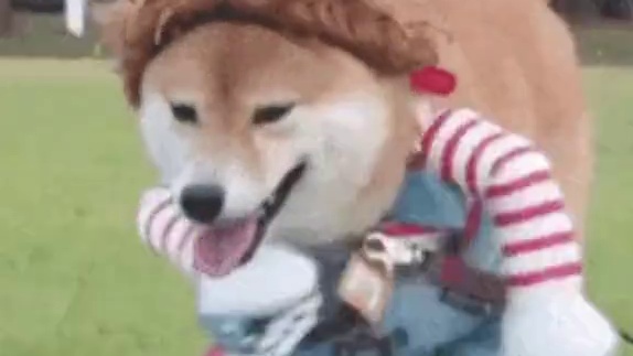 怪不得当时孩子们都留假号码呢 #娱乐评论大赏 #时代峰峻 #招生