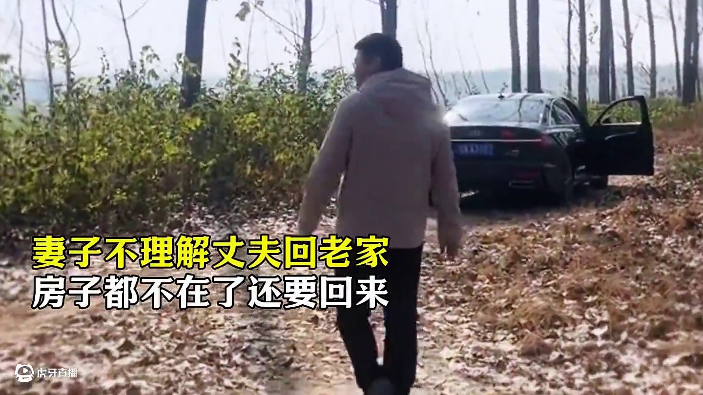 “中年人对家乡的执念有多深？”不管失意还是得意都想回去#农村老家 #故乡情 #回家过年