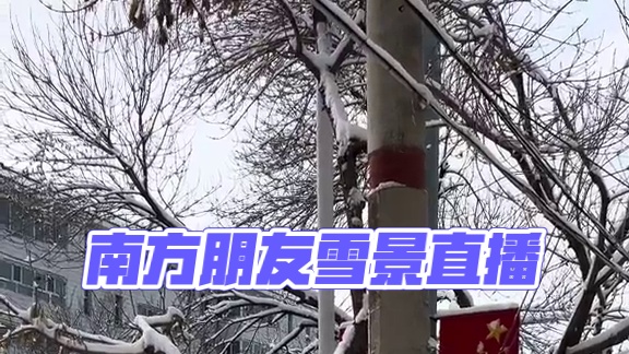 北方的朋友请回避，我来给南方的朋友看看雪。#新疆 #带你看雪景 #银装素裹 #你的城市下雪了吗