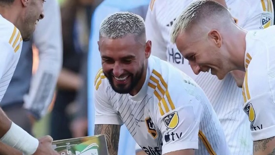 圆梦！罗伊斯首夺联赛冠军！#罗伊斯 #五大联赛 #足球的魅力