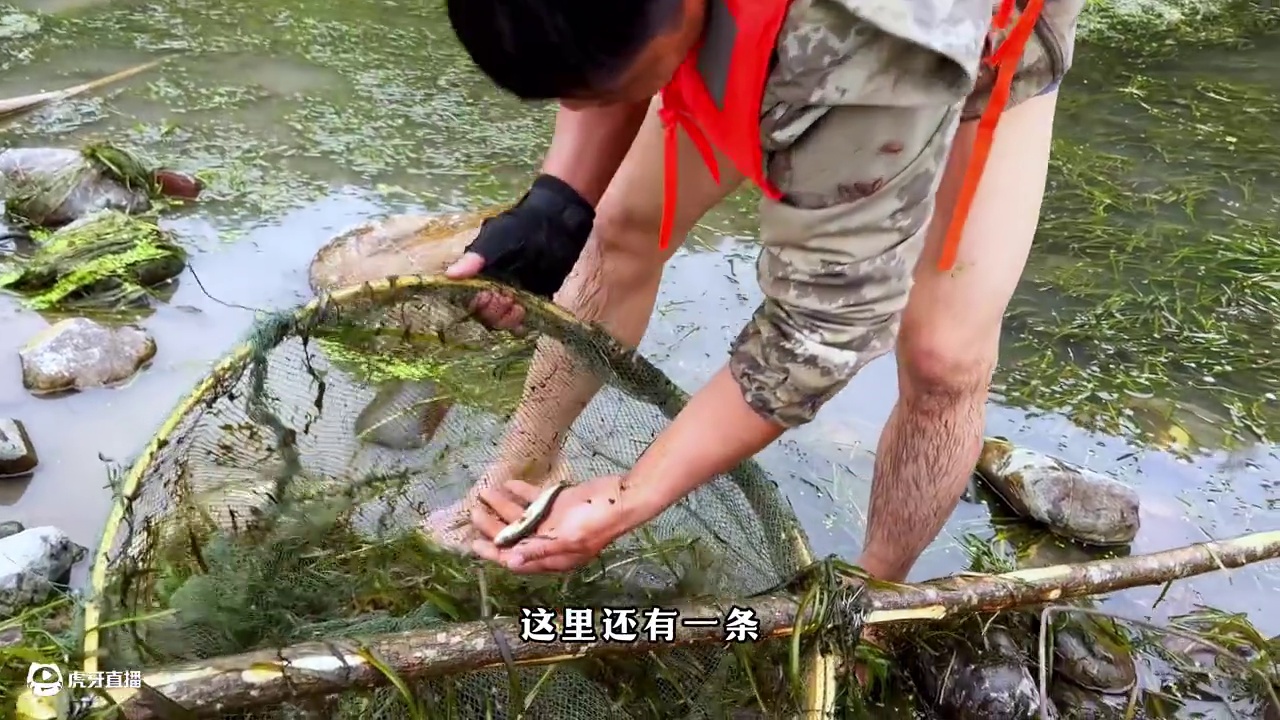 老六荒野   酋长冠军杯  荒野生存积分  第三天 选手发明了自己的语言？#真实户外 #荒野 #荒野