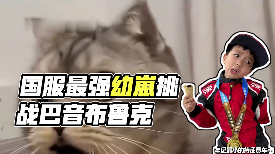 我勒个国服最强幼崽！