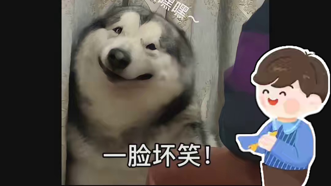 谁说这猫箱不好玩啊！