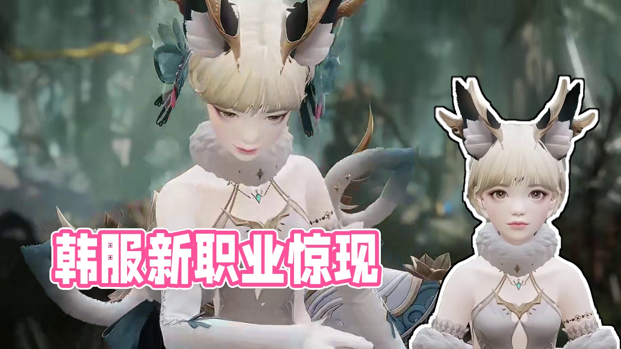 【命运方舟】韩服最新职业！这确定不是我冒险岛？ #命运方舟 #冒险岛 #冒险岛琳 #冒险岛林之灵 #