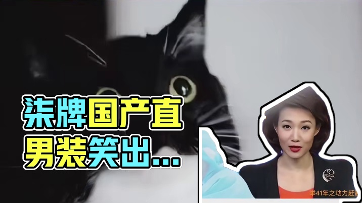 我们柒牌本来就挺直的腰板，现在更直了