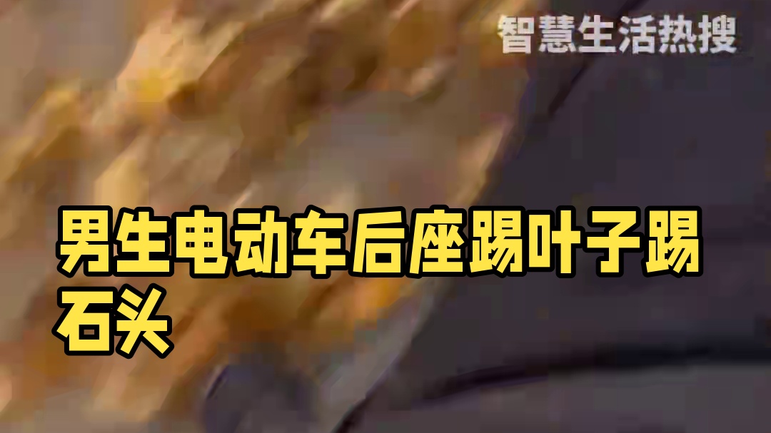 男生坐在电动车后座，踢堆放在路边的叶子踢到石头。#踢到石头 #落叶 #电动车后座