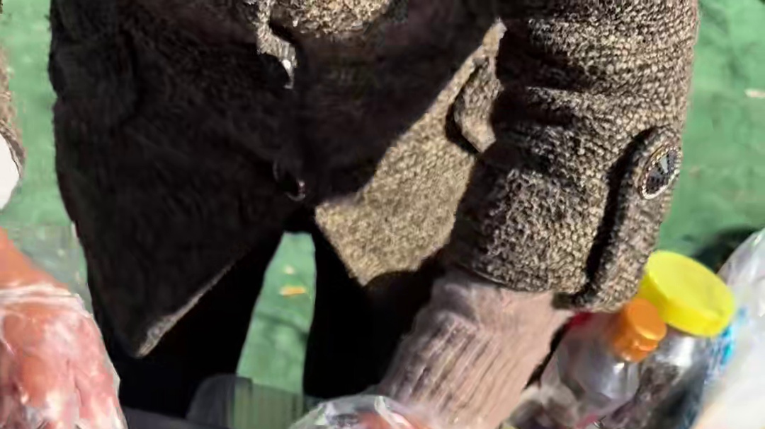 在北京跑山vs在旧金山跑山 各有各的玩法 我都喜欢！ 山上有这么多好吃的还有拍照的是我最羡慕的#宇智