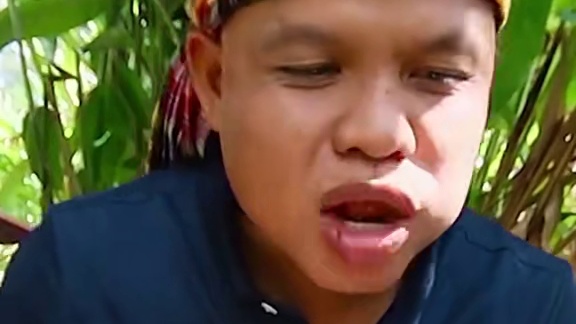 荷花杆小茄子酸辣凉拌️新鲜牛百叶 #户外美食 #泰国生活 #美食 #泰国美食