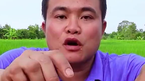 泰式️海鲜酸辣蘸水满黄大母蟹薄荷叶 #泰国主播吃美食视频 #泰国美食 #泰式凉拌海鲜视频 #泰国大叔