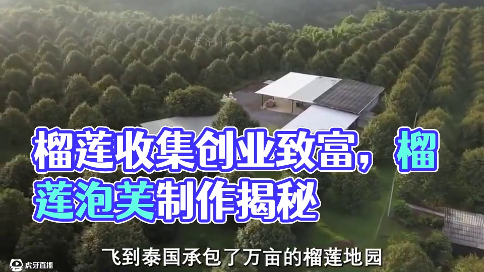 榴莲竟然还可以这样做？#榴莲 #榴莲泡芙 #榴莲肉 #爆浆 #雪媚娘