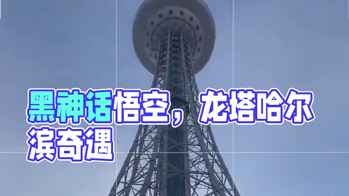 ！！！ #黑神话悟空 #龙塔 #哈尔滨