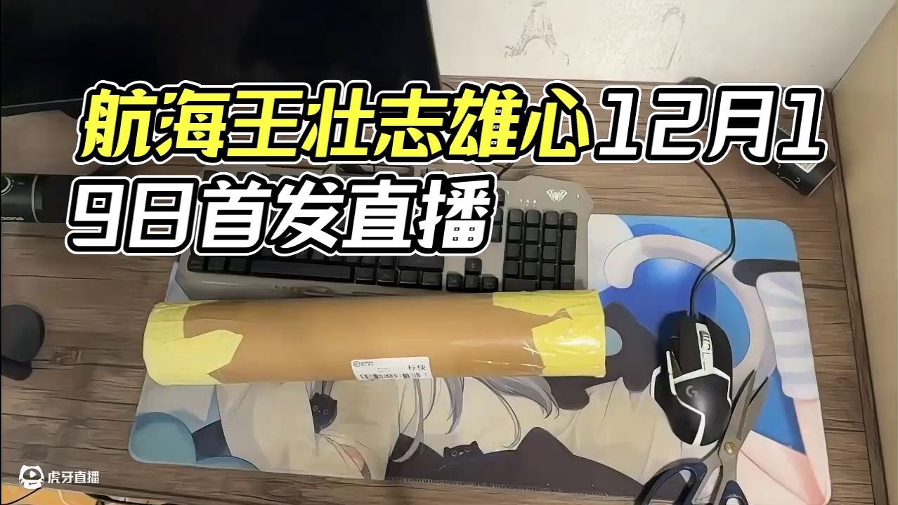 是航海王壮志雄心 #航海王壮志雄心 #航海王壮志雄心上线前瞻 #航海王壮志雄心12月19日上线
