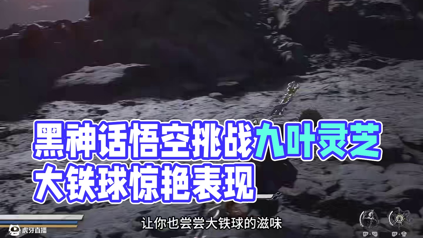 黑神话悟空 大铁球真正的用处 来治九叶灵芝精还挺不错… #steam游戏 #黑神话的故事没有那么简单
