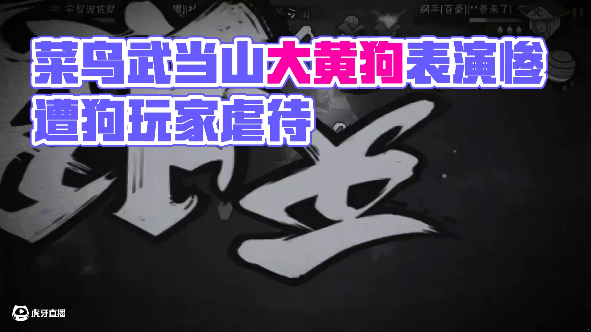 恭喜菜鸟 #武当山大黄狗