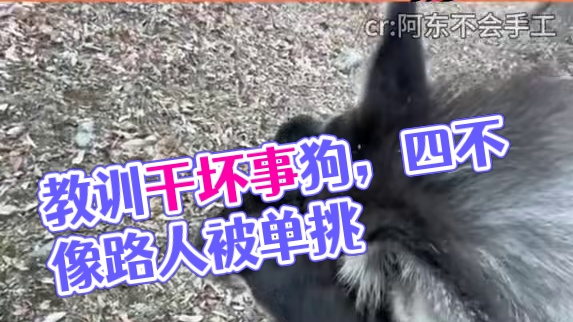 真的很像我教训干坏事的狗诶#离谱 #万万没想到 #鬣羚 #四不像