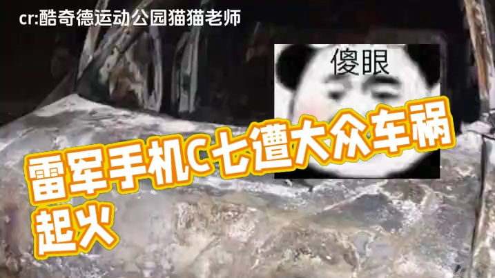 大声的告诉我雷军的五字真言是什么他#雷军 #小米su7#大众