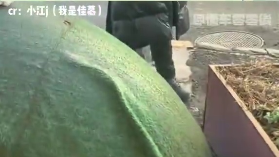 肾上腺素：给我活着#肾上腺素#万万没想到#车祸 #科普一下