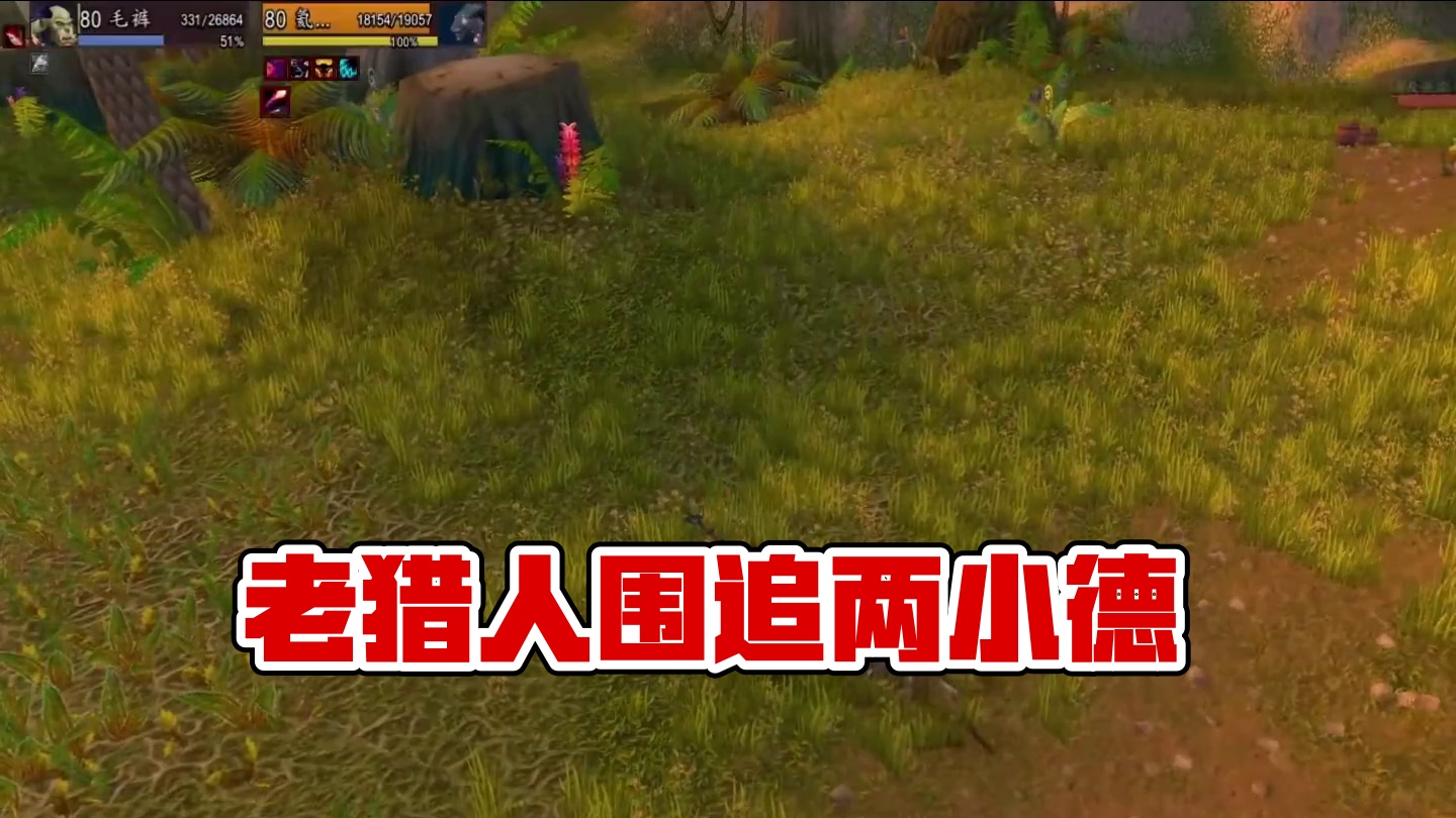 当老猎人招惹到两个小德 究竟是野的跑的快 还是猎人跑的快 #魔兽世界二十周年 #魔兽世界攻略必看 #