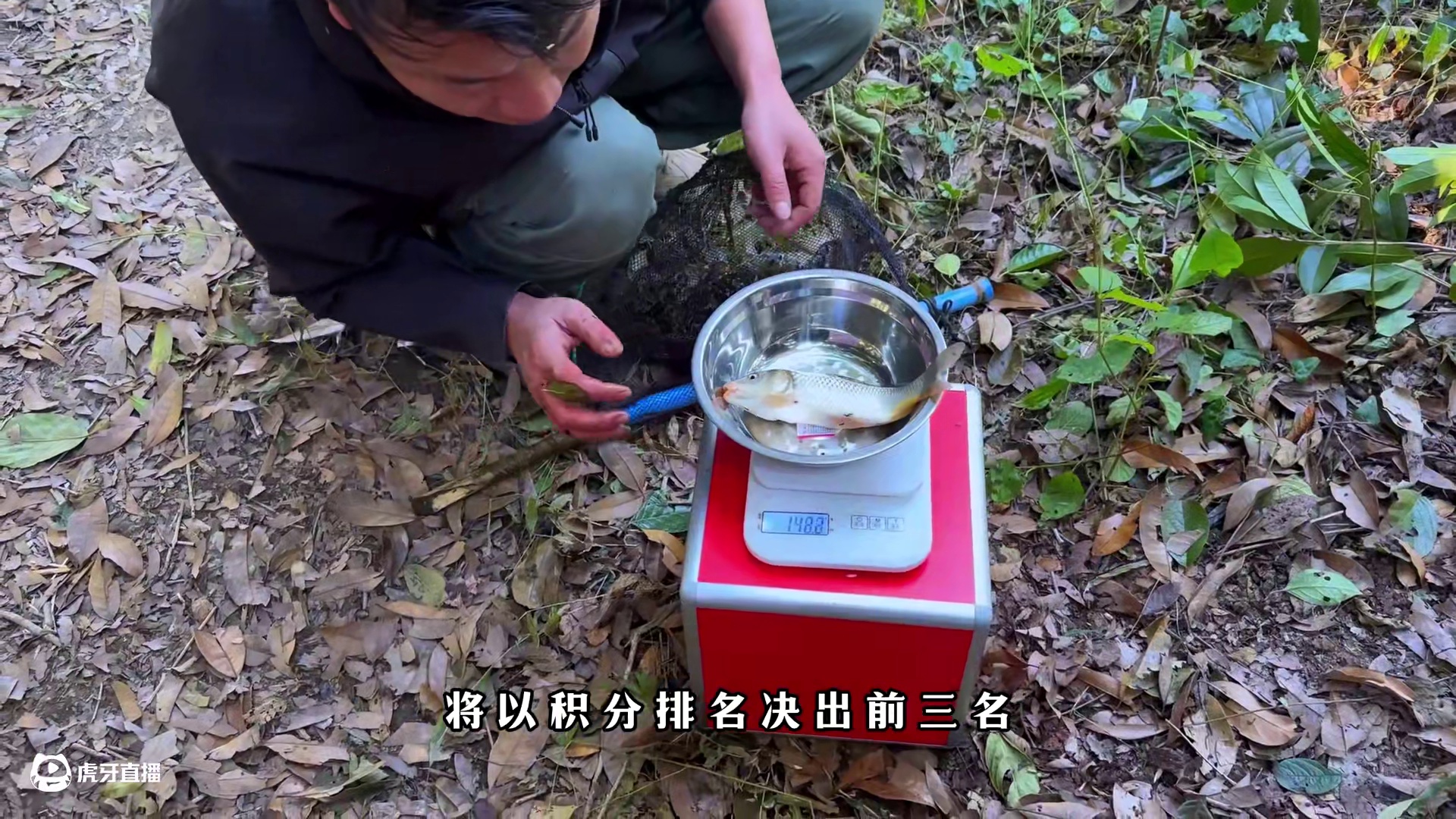 老六荒野  樟树营杯  荒野积分赛  第二天 #真实户外 #野外生存 #荒野 #荒野求生 #户外生存