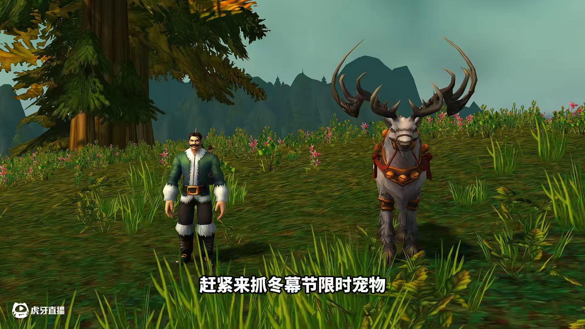 今年冬幕节猎人史诗级加强，赶紧来抓冬幕节限时宠物 错过在等好几年#魔兽世界 #我们比你们多一个世界 
