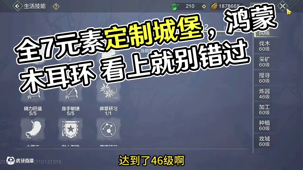 半新区榜一号 全7元素 4200木攻 鸿蒙木耳环 浑天木盾 木符 物资不少 定制城堡  #妄想山海 